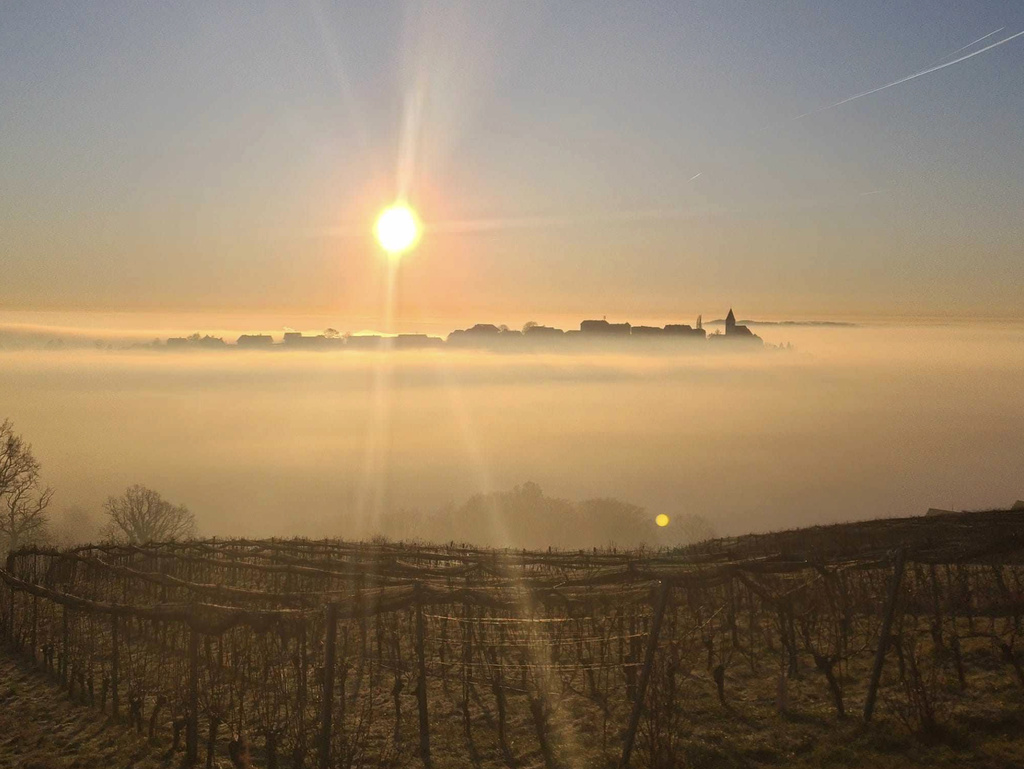 Bildschirmfoto 2026-03-27 um 11.44.44_Easy-Resize.com